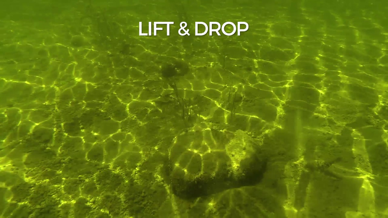 Swimming Action: Jigging Rap