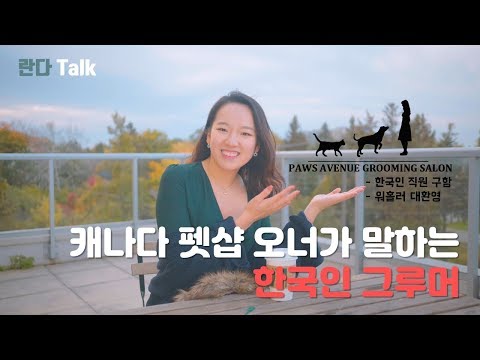 [란다Talk]  캐나다에 한국인 그루머가 절실합니다