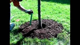 Ponds Palm Harbor FL 34682