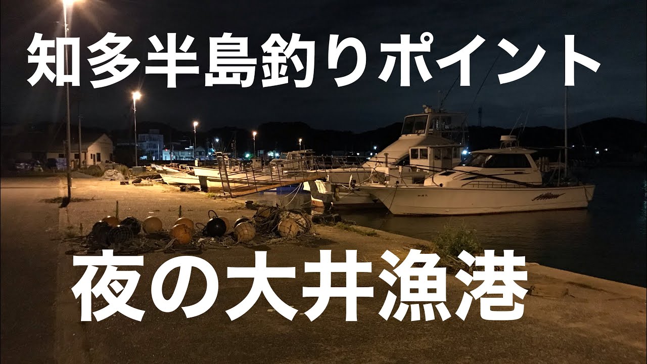 夜の大井漁港 知多半島釣りポイント Youtube