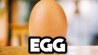 The Daily Egg 183