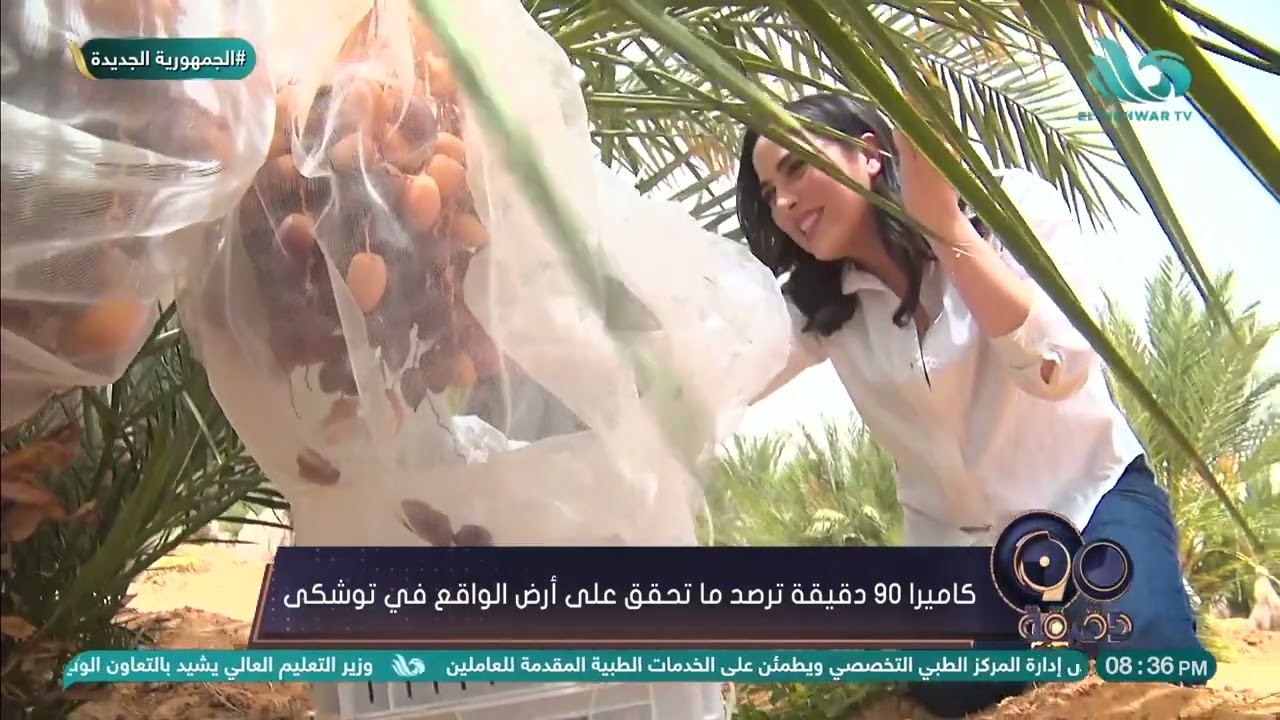 كاميرا٩٠ دقيقة ترصد ما تحقق على أرض الواقع في توشكى