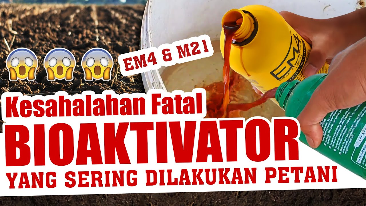 EM4 & M21 RUGI 100.000.❗❗❗ KESALAHAN FATAL BIOAKTIVATOR YANG SERING DILAKUKAN PETANI