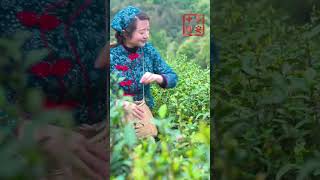 Savor tea in Chongqing