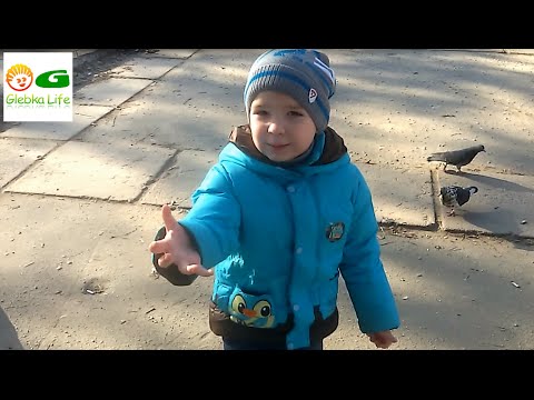 ВЛОГ Кормим голубей. Vlog feeding pigeons. ВЛОГ