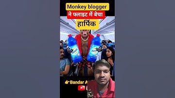 #ai monkey vlog#monkey video editing #how to making ai video#monkey vlogger flight