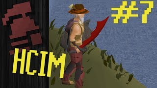 Monkey Business (Big Gains!) | Ep. 7 HCIM Progress