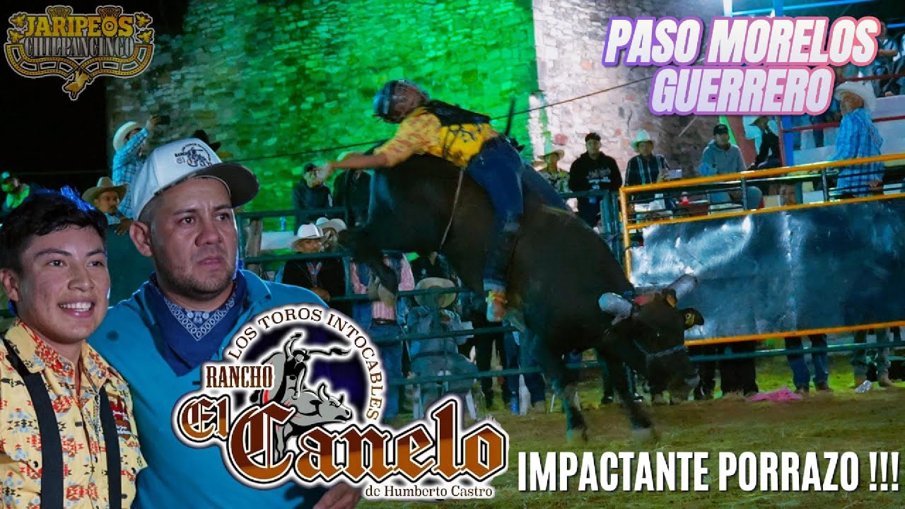 15 TOROS INTOCABLES DE RANCHO EL CANELO EN PASO MORELOS, GRO.