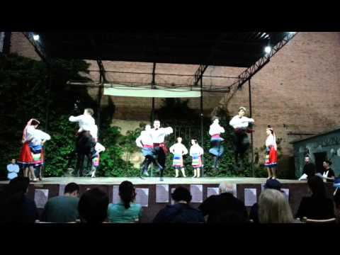 ანსამბლი \"უნივერსიტეტი\" - უკრაინული (ტერფსიქორე)