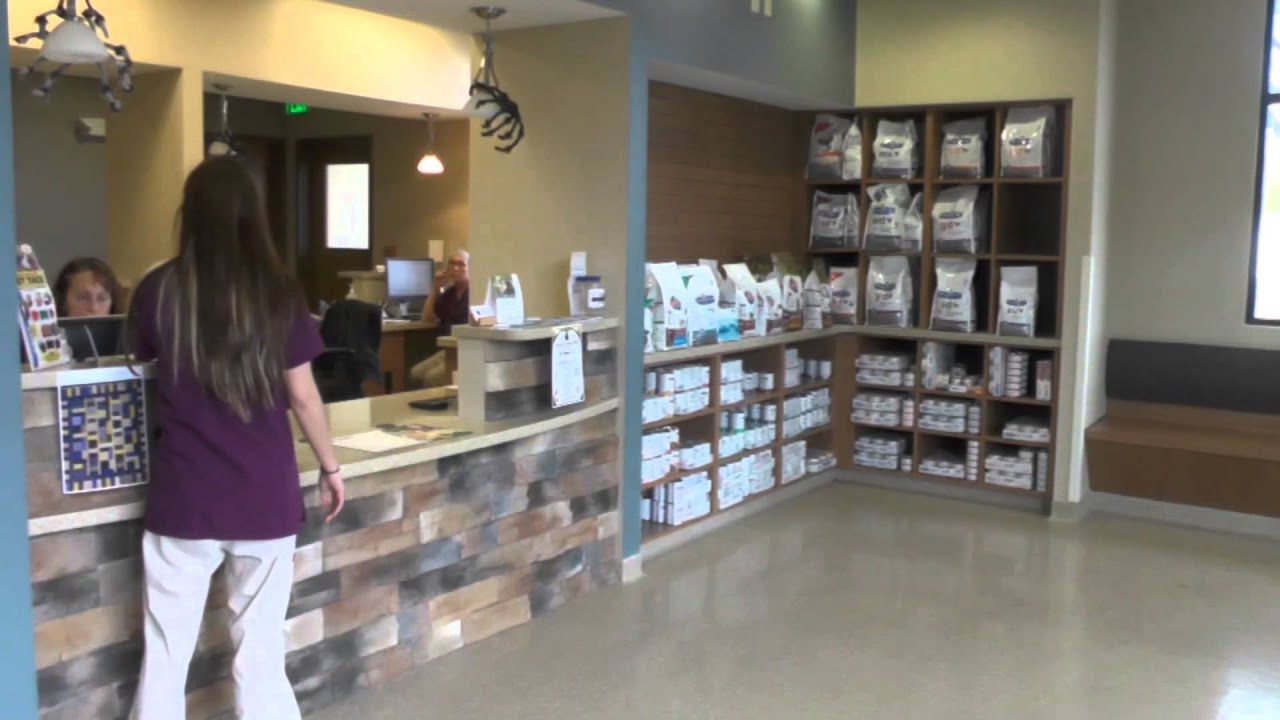 Hillcrest Veterinary Clinic 102614 YouTube