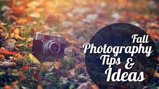 Fall Photography Tips And Ideas