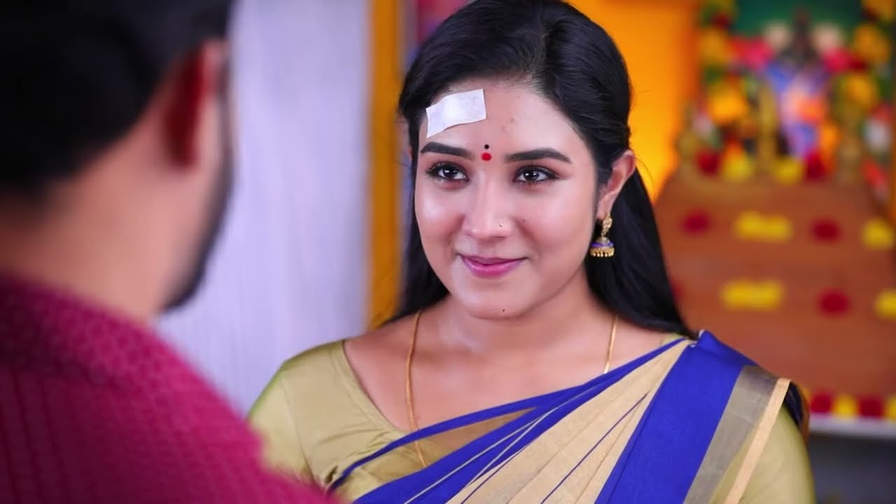 Vinay Irritates Karthik - Deivam Thantha Poove - Full Ep 446 - Zee Tamil