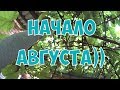 Начало августа! Различная еда на Кубани))