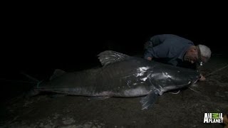 Catch of a Lifetime - Reeling in a Piraiba Beast | River Monsters