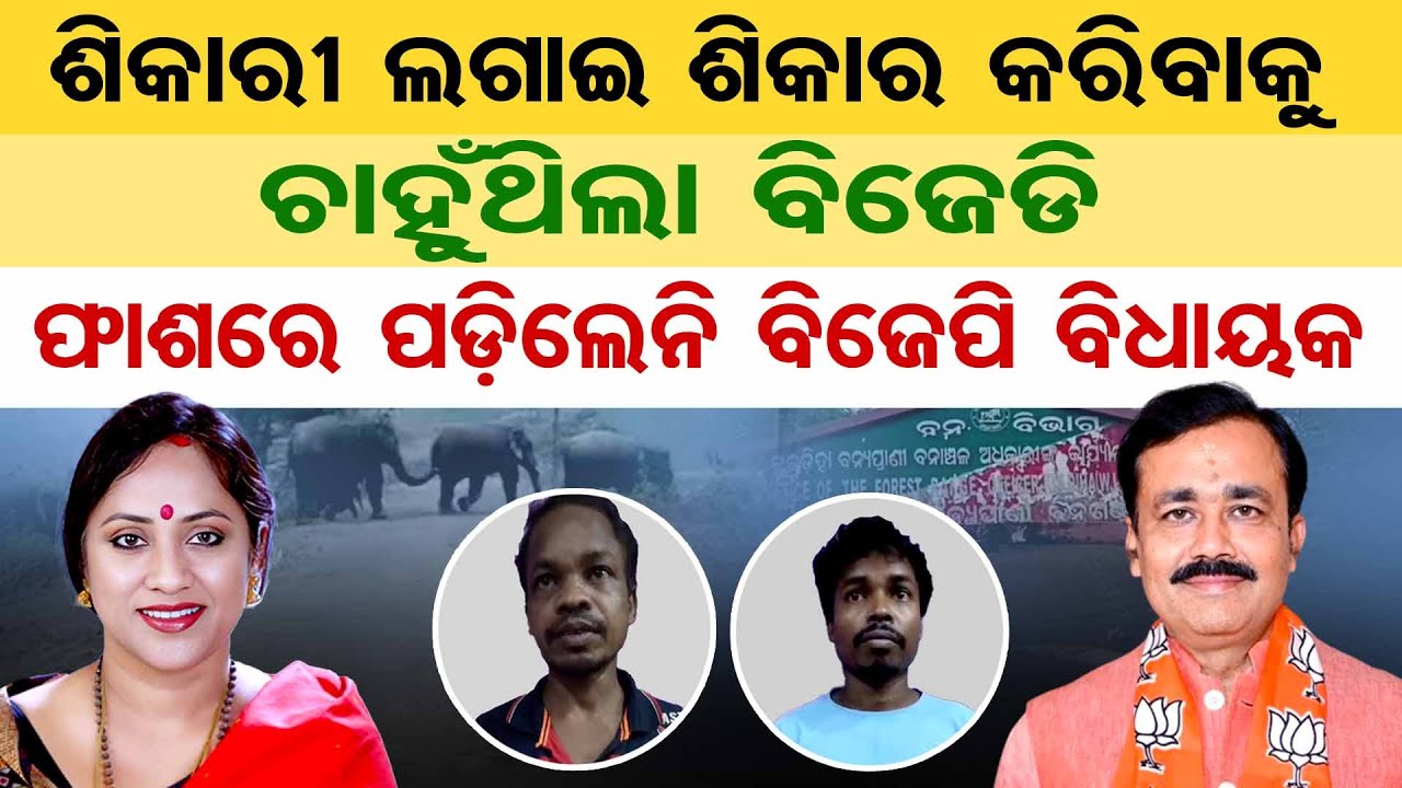 Special Story: ଶିକାରୀ ଲଗାଇ ଶିକାର କରିବାକୁ ଚାହୁଁଥିଲା କି ବିଜେଡି ?  | Odisha Reporter