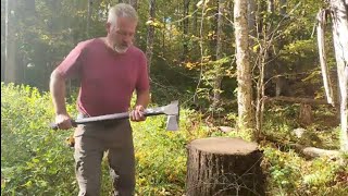 So schneiden und verarbeiten Sie freies Holz aus dem Wald.