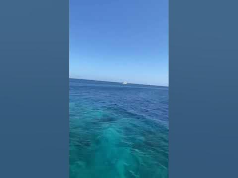 Червоне море. - YouTube