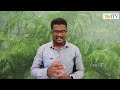 How to cure pearl penile papules in tamil  doctor satheesh  yes1tv tamil