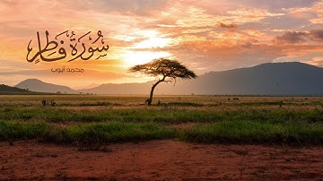 سورة فاطر بصوت خاشع | تلاوة نادرة للشيخ محمد أيوب تلامس القلوب
