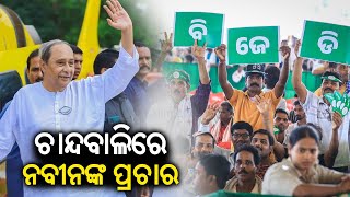 Live || ଚାନ୍ଦବାଲିରେ ନବୀନଙ୍କ ପ୍ରଚାର || BJD Supremo Naveen Patnaik's Election Campaign In Chandabali