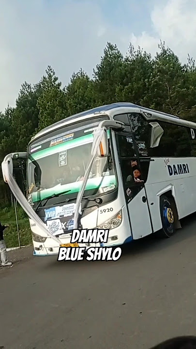 Full Basuri DAMRI BLUE SHYLO#basuriviral