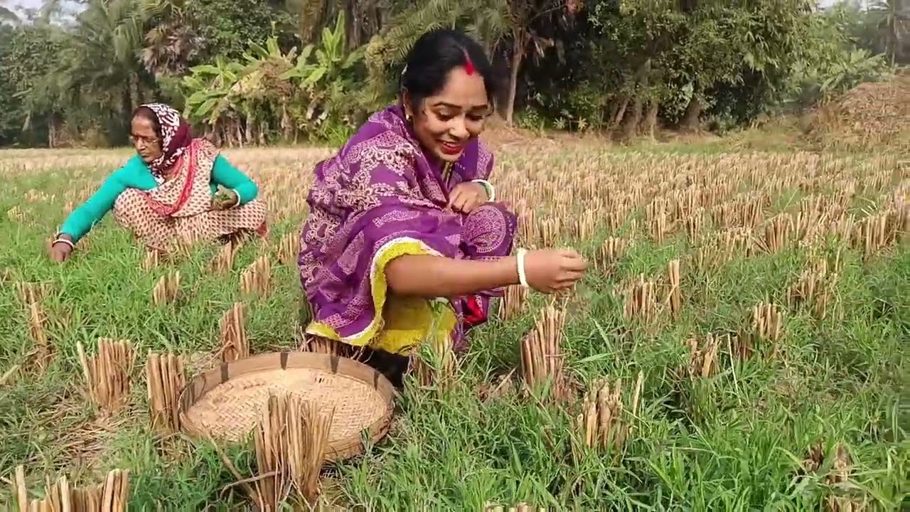 Kheshar Shaker Dalna