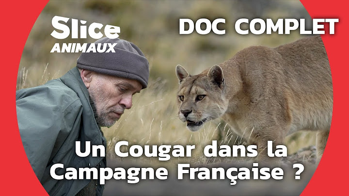 Sur les Traces du Cougar du Gévaudan I SLICE ANIMAUX | DOC COMPLET