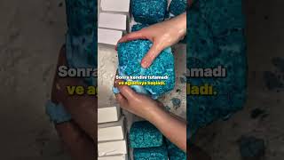 Derste Uyuyan Öğrencimin İbretlik Hikayesi