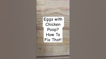 Eggs with Chicken Poop? Why? How To Fix That!