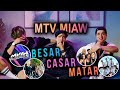 BESAR 💋 CASAR 💍 MATAR 💀  | MTV MIAW EDITION