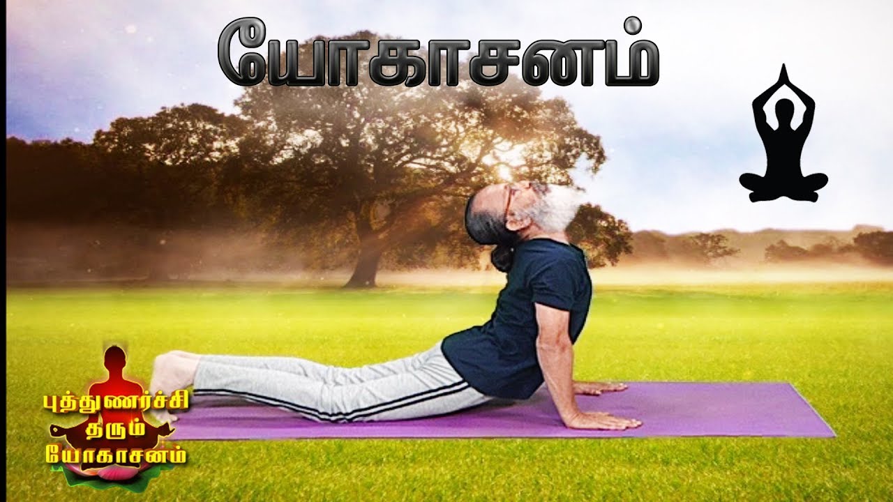 video phone beyonce mp3 ஆயுள் கூடுவதற்கான ஆசனங்கள் | புத்துணர்ச்சி தரும் யோகாசனம்