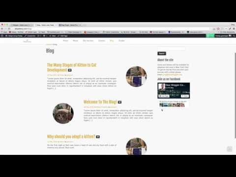 41. Add Widgets to Your Sidebar
