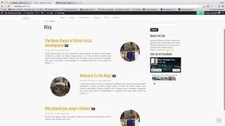 41. Add Widgets to Your Sidebar