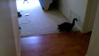 VIDEO0004.3gp