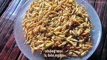 Nhộng sâu muồng - món ăn kinh dị đất Tây Nguyên