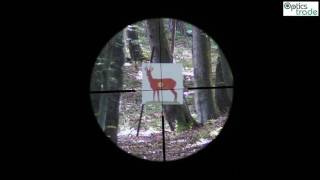 Leica Visus 3-12X50 I Lw Reticle 4A Subtensions