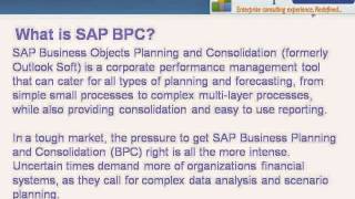 SAP BPC | SAP PLANNING & CONSOLIDATION | SAP EPM 10.1|SAP BPC SERVICES