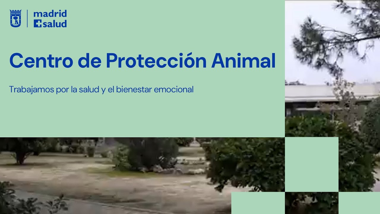 👉¿Conoces el Centro de Protección Animal?🐶🐱