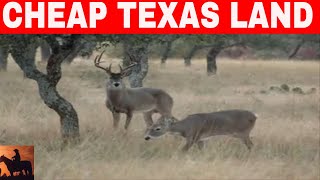 7 Places In Texas To Buy Cheap Land