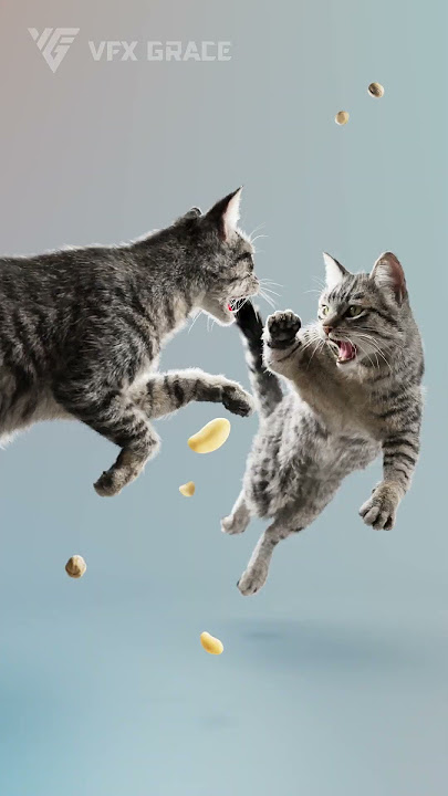 Crazy Cat Lady: The Tabby Cat  #blender #animals #Cat