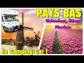 Pays bas  que visiter en hollande   campingcar vanlife  nomade paysbas