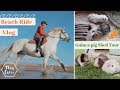 Beach horse ride and Guinea pig shed Tour / Clean up! | This Esme