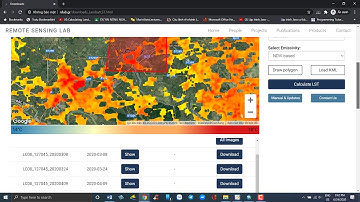 Land Surface Temperature Estimation