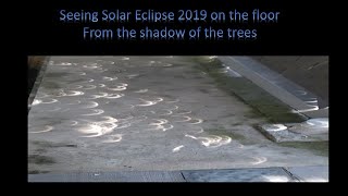 solar eclipse 2019 from the shadow of the trees