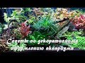 Советы по декоративному оформлению аквариума