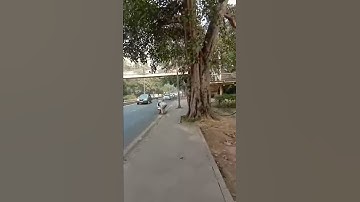 Ignou Solved Assignment MSOE 2018-19