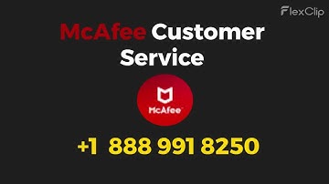 How to Reach the McAfee Customer Service | A Step-by-Step Guide for Help & Complaints
