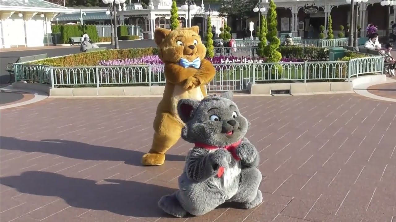Funniest Aristocats' contest Which cat is nicer?" Disneyland Tokyo
