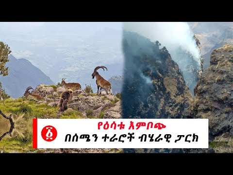 ቪዲዮ: አምበር ተራራ ብሄራዊ ፓርክ፡ ሙሉ መመሪያው።