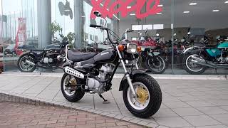 【超希少低走行極上フルノーマル！プラグバッテリー等交換済】ホンダ ノーティダックス50 DAX【動画有】 検）ゴリラ モンキー シャリー R&P ホンダ ノーティーダックス DAX兄弟の異端児！ - YouTube